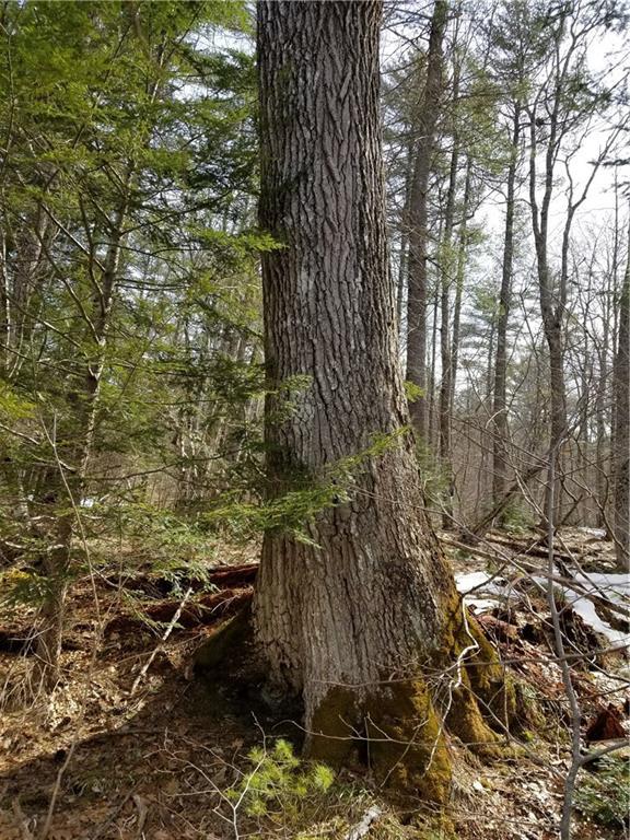 Tbd Tbd Head Tide Hill Road Whitefield, ME 04353 - Photo 19 of 20 Photo