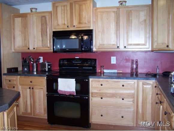 141 Canoe Run Road Looneyville, WV 25259 - Photo 2 of 18 Spacious kitchen