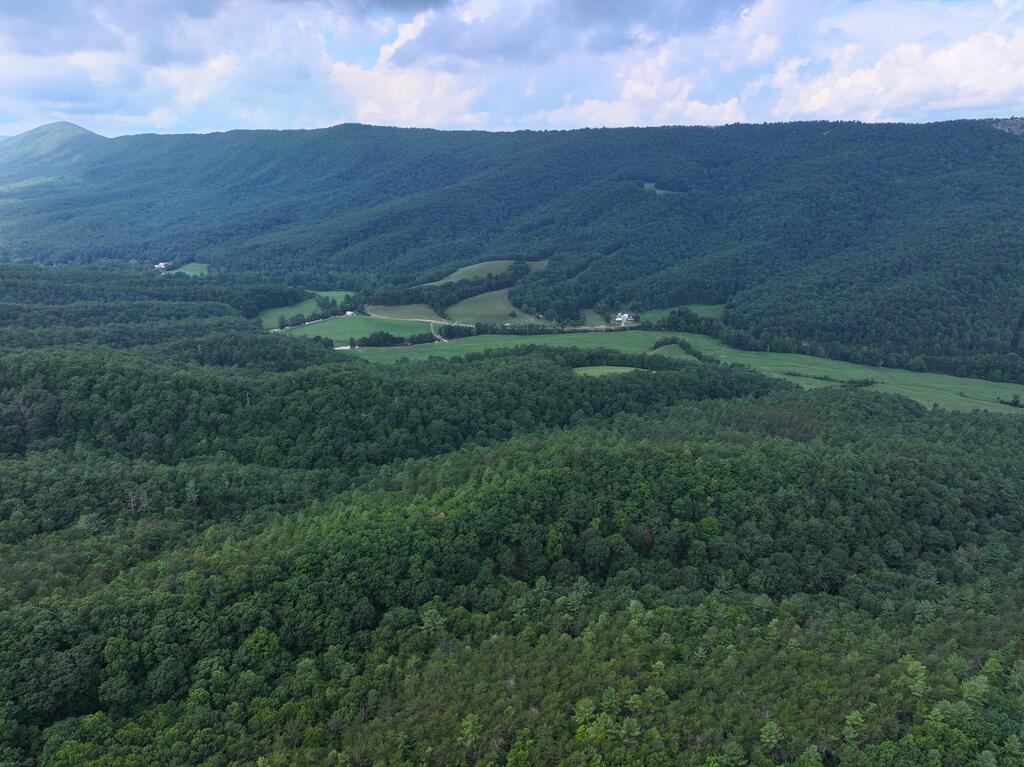 Tbd North Ridge Lane Pulaski, VA 24301 - Photo 21 of 48 Gallery Image 21