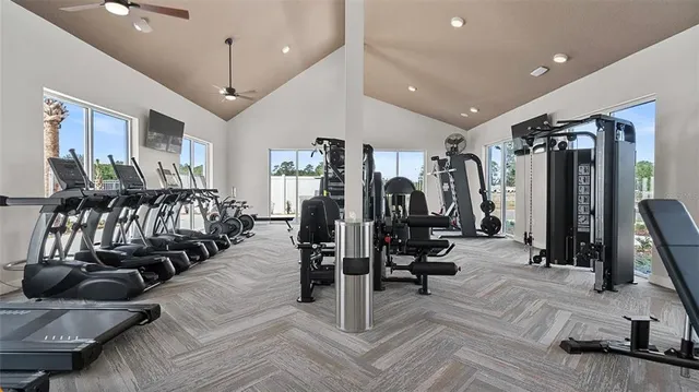 a view of a park with large trees