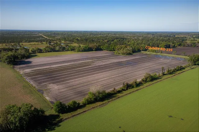 $774,000 | 24103 Northwest County Road 239, Alachua, FL 32615