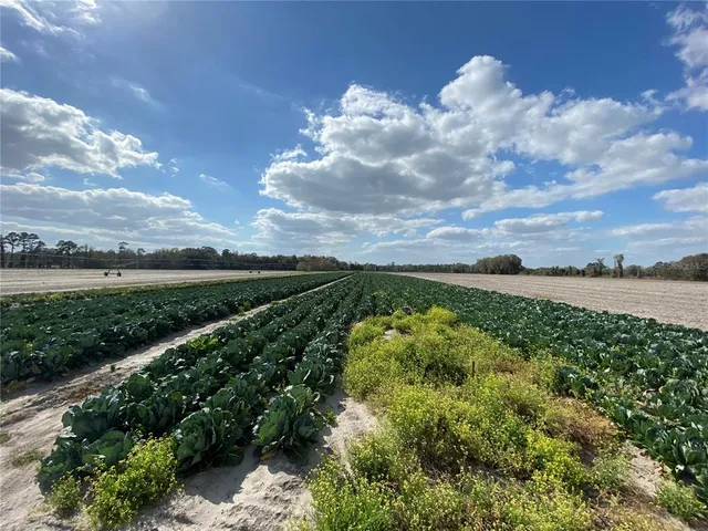 $774,000 | 24103 Northwest County Road 239, Alachua, FL 32615