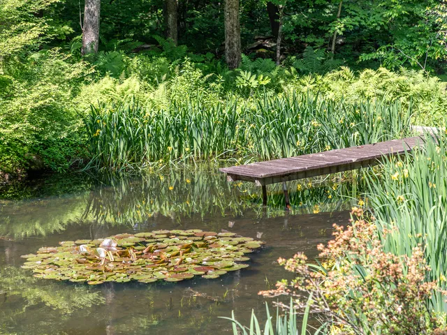 a view of a swimming pool with a yard
