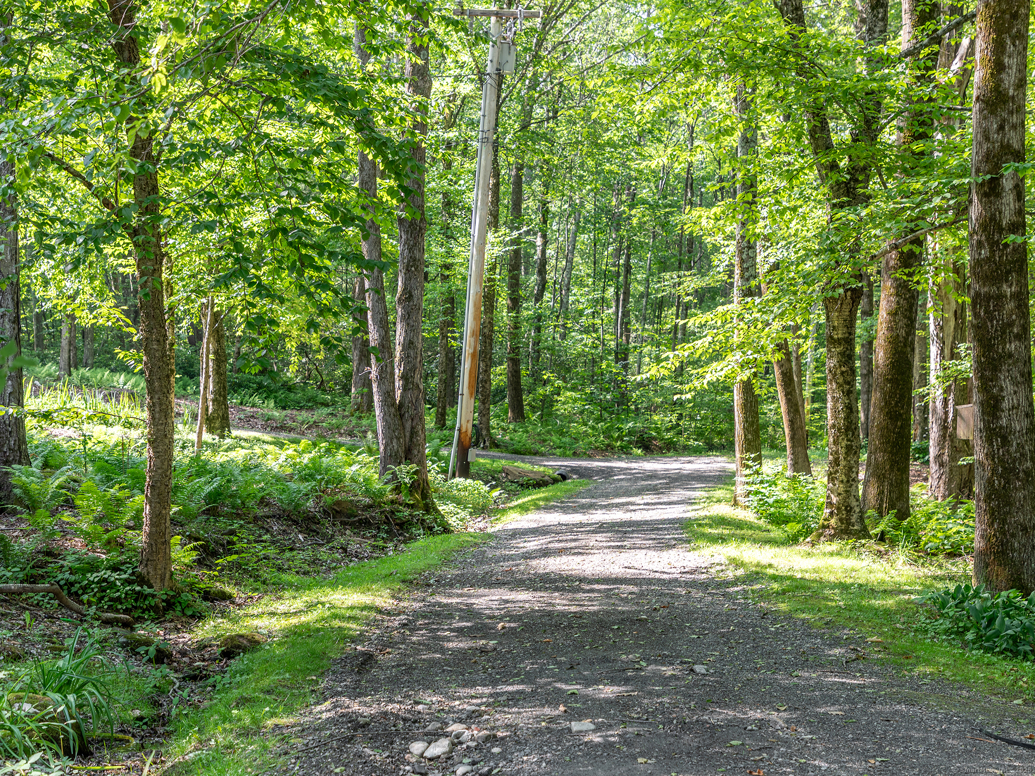 203 Brick School Road Warren, CT 06754 - Photo 38 of 40 a view of outdoor space and yard