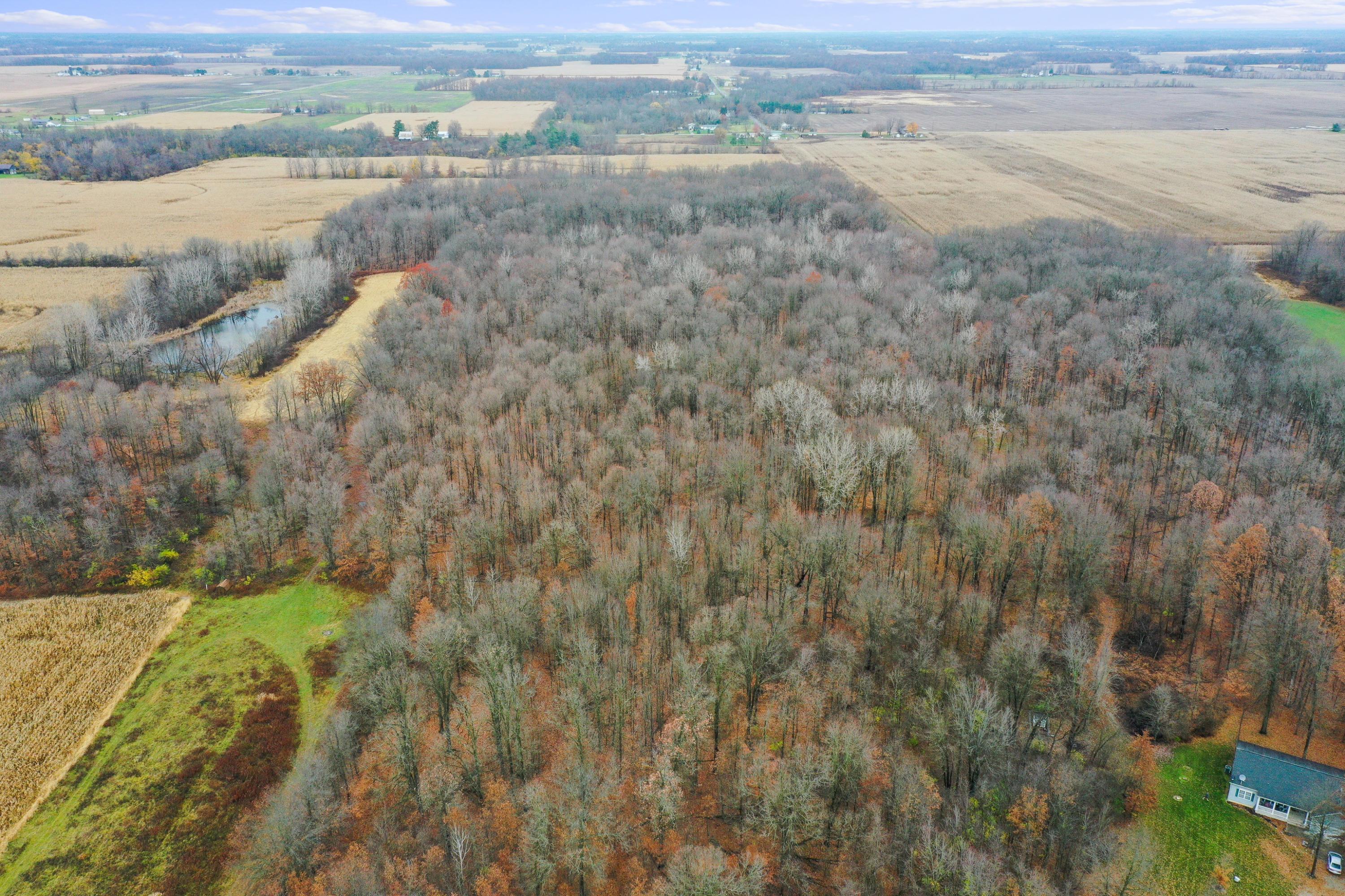 0 Twp Road Ashley, OH 43003 - Photo 11 of 18