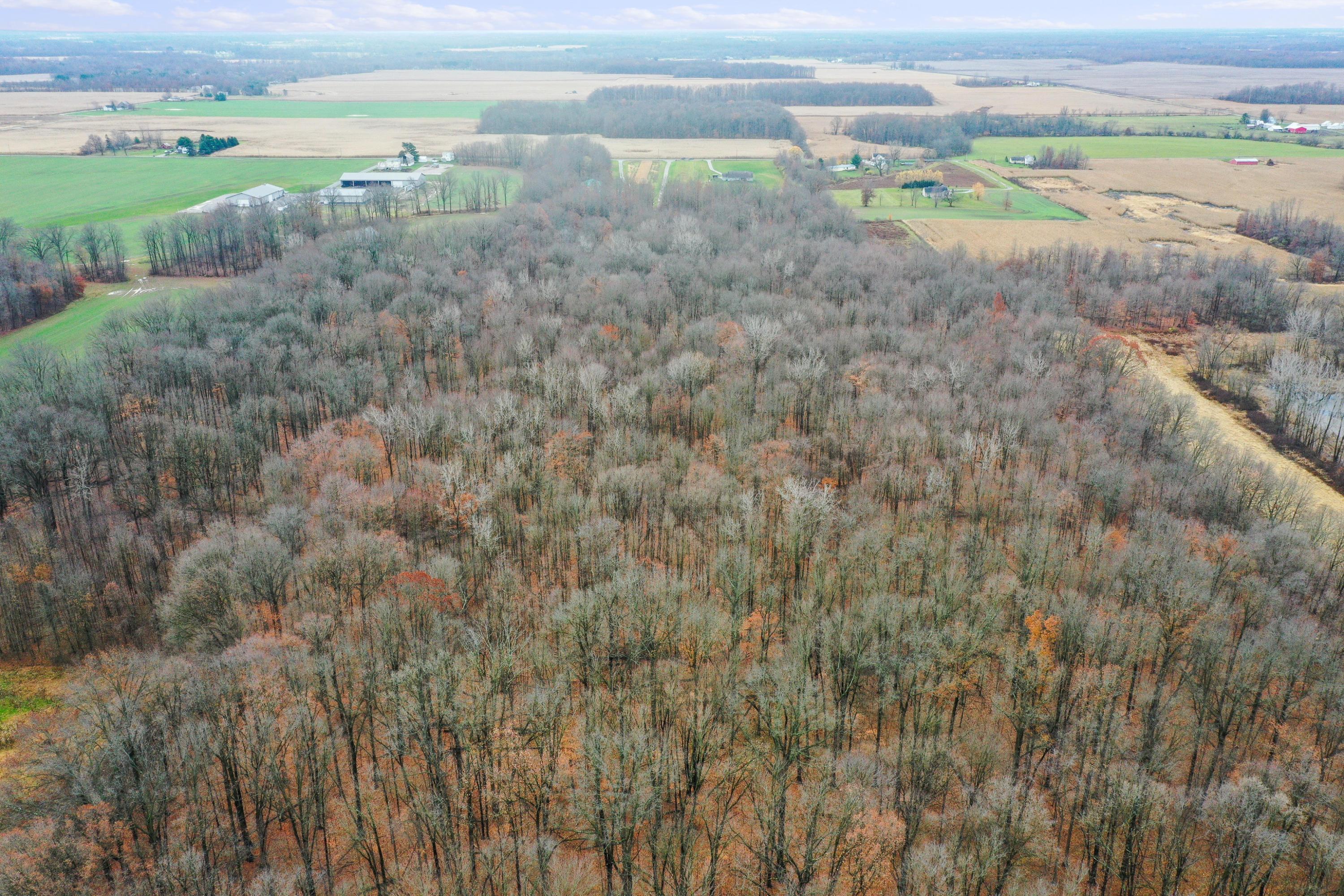 0 Twp Road Ashley, OH 43003 - Photo 17 of 18