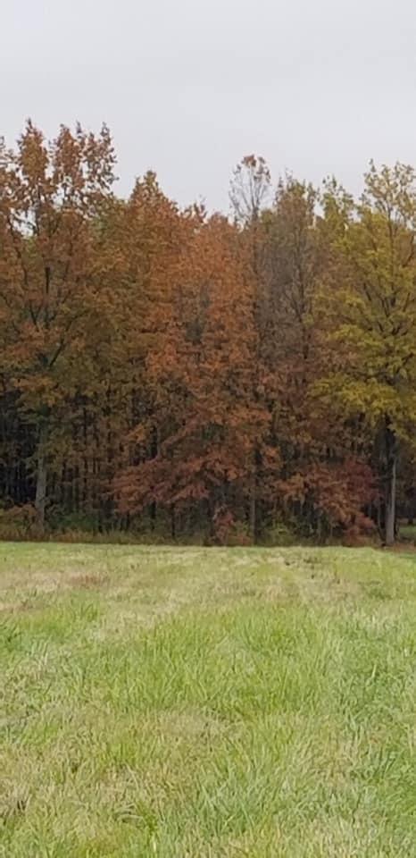 0 Twp Road Ashley, OH 43003 - Photo 2 of 18