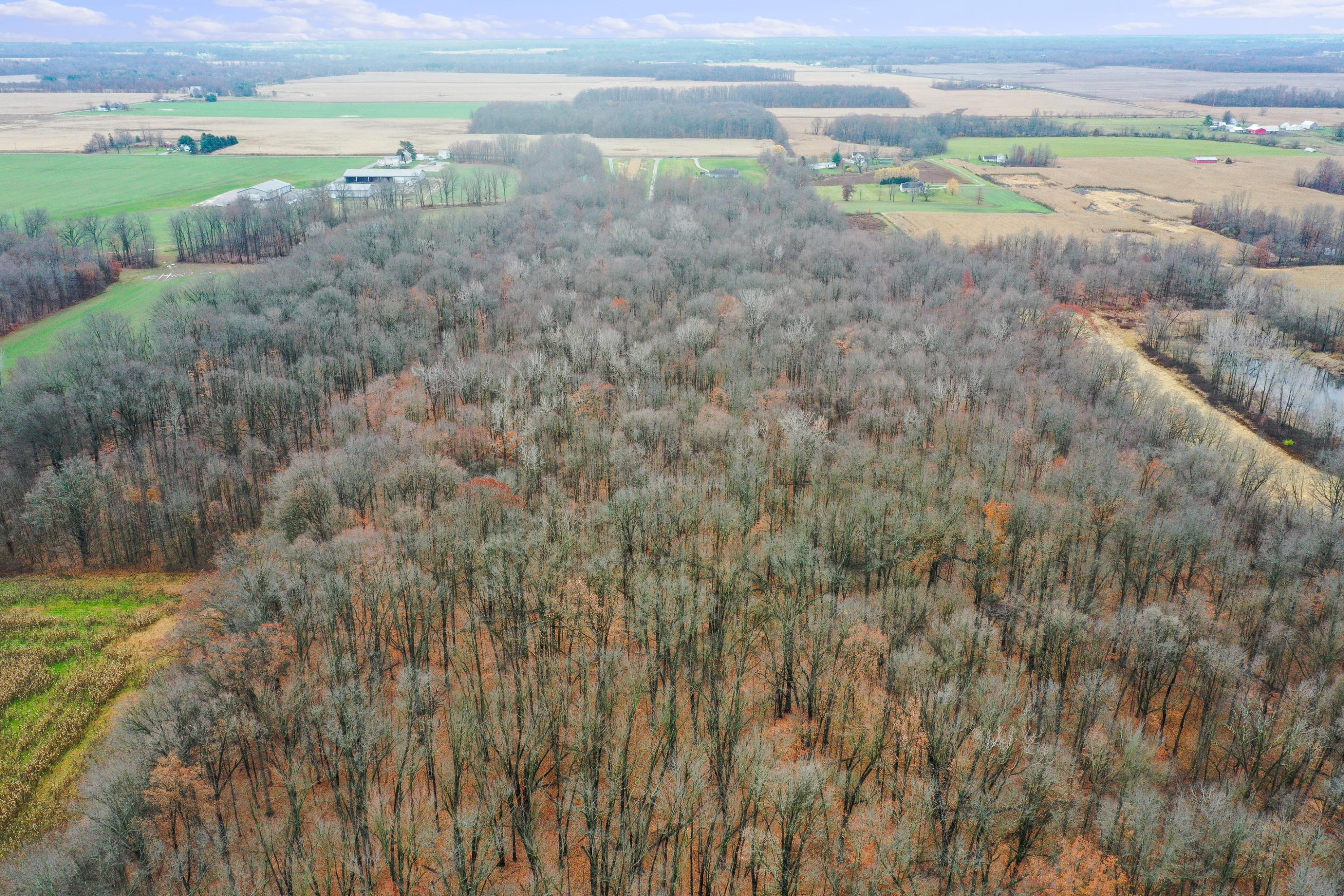 0 Twp Road Ashley, OH 43003 - Photo 4 of 18