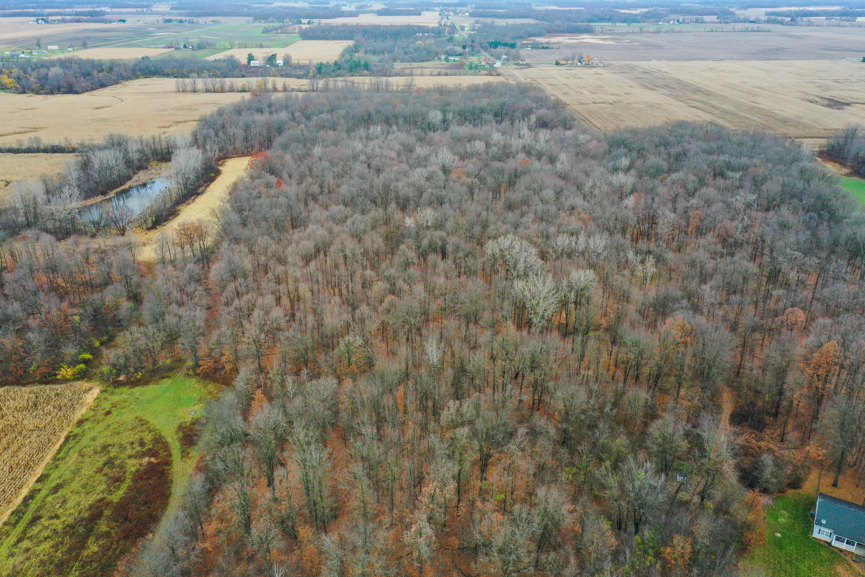 0 Twp Road Ashley, OH 43003 - Photo 6 of 18
