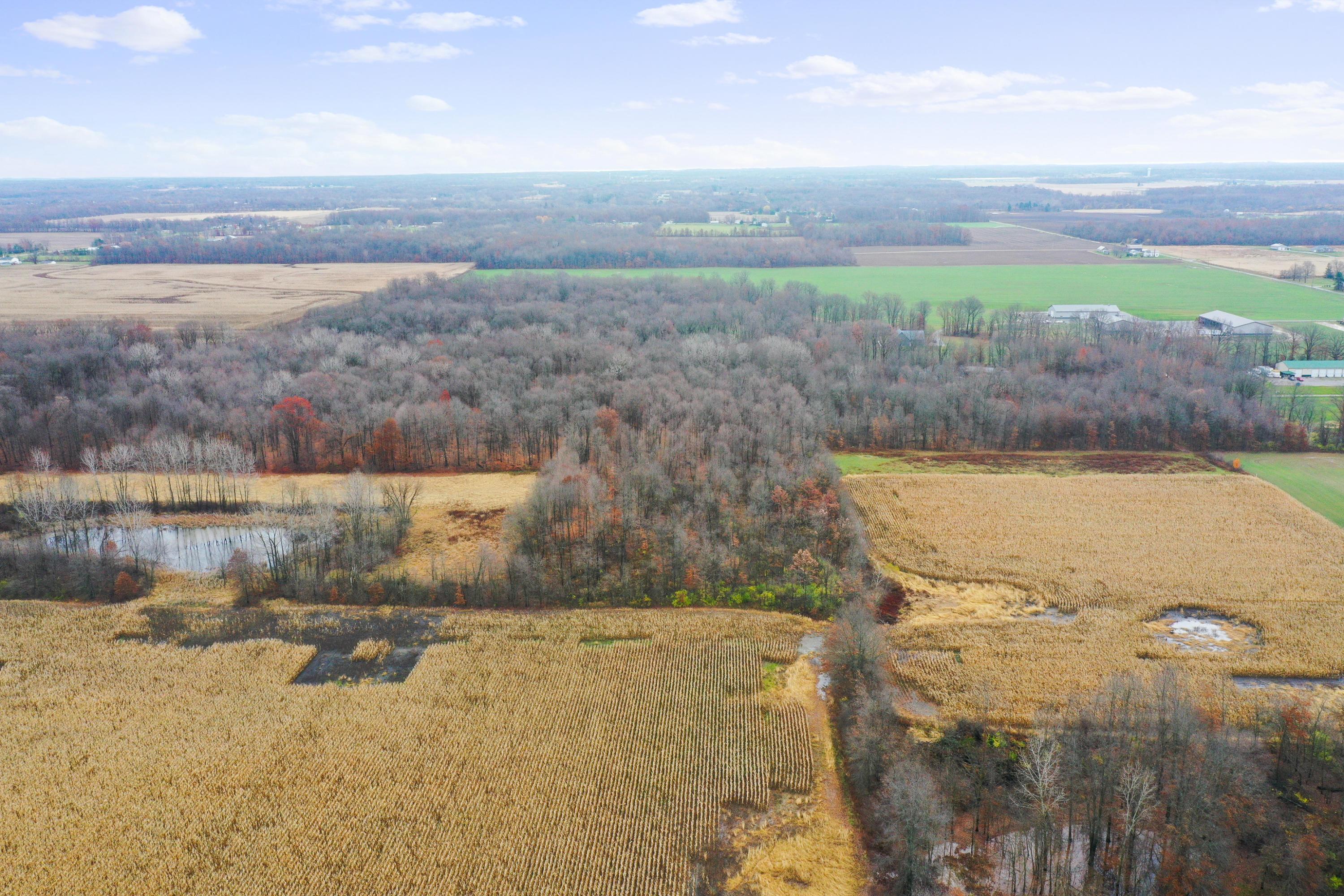 0 Twp Road Ashley, OH 43003 - Photo 9 of 18