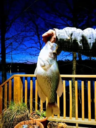 $950,000 | 2221 County Road 6, Wedowee, AL 36278