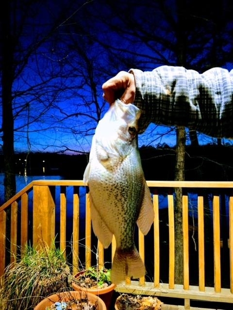 2221 County Road 6 Wedowee, AL 36278 - Photo 43 of 43