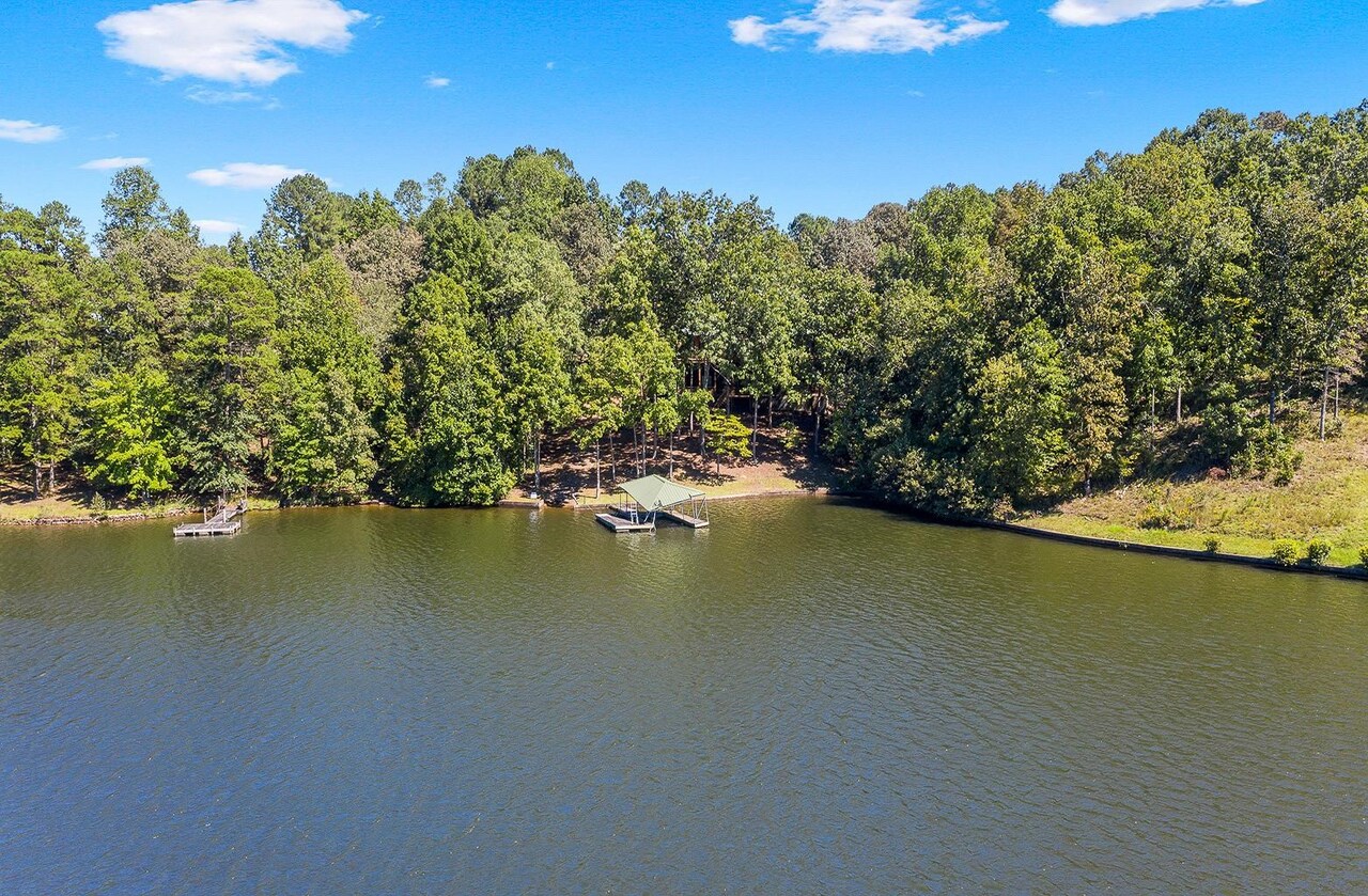 2221 County Road 6 Wedowee, AL 36278 - Photo 5 of 43