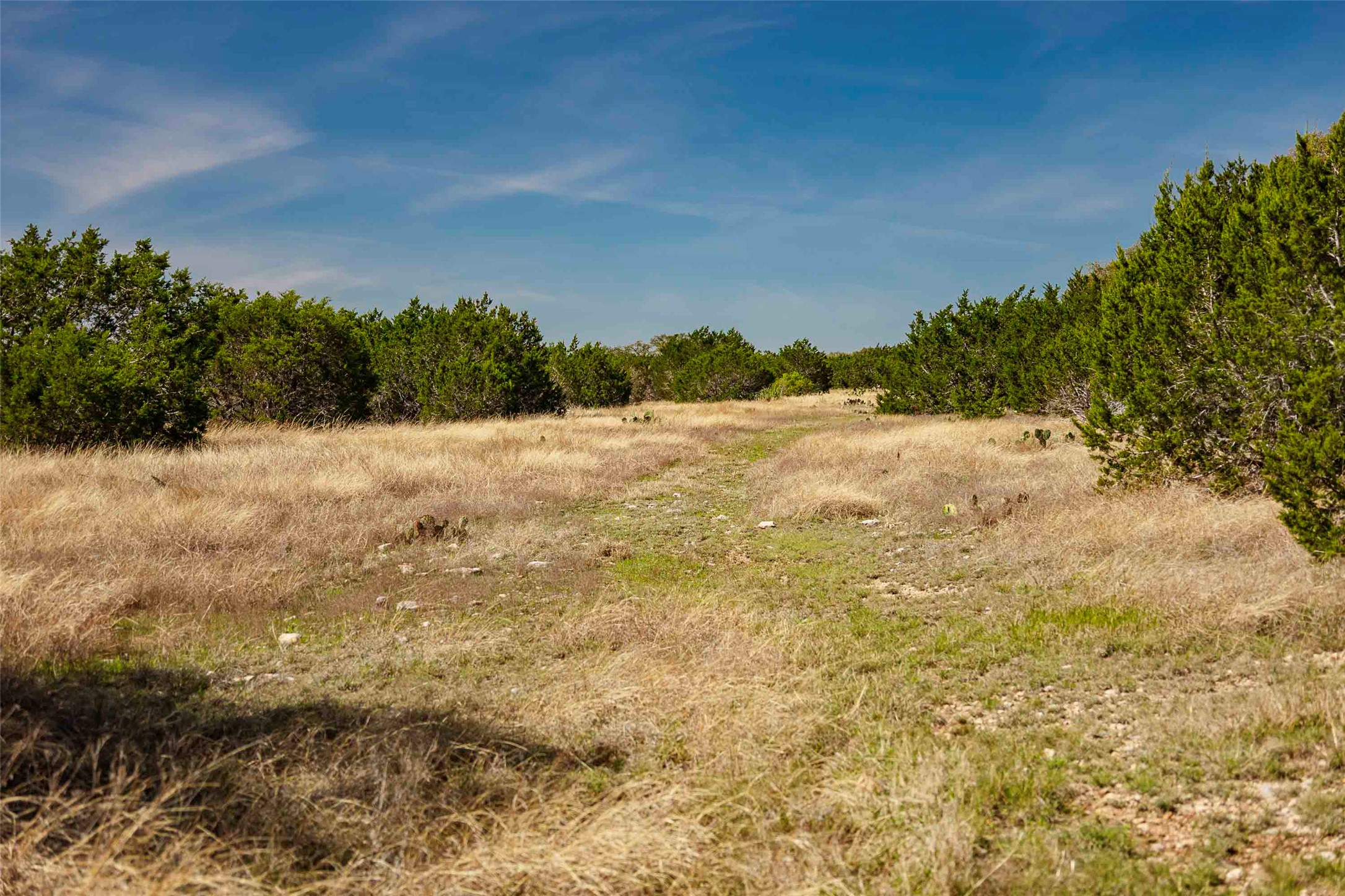 Tbd Saddle Ridge Drive Bertram, TX 78605 - Photo 30 of 40 View of undeveloped land with rural landscape