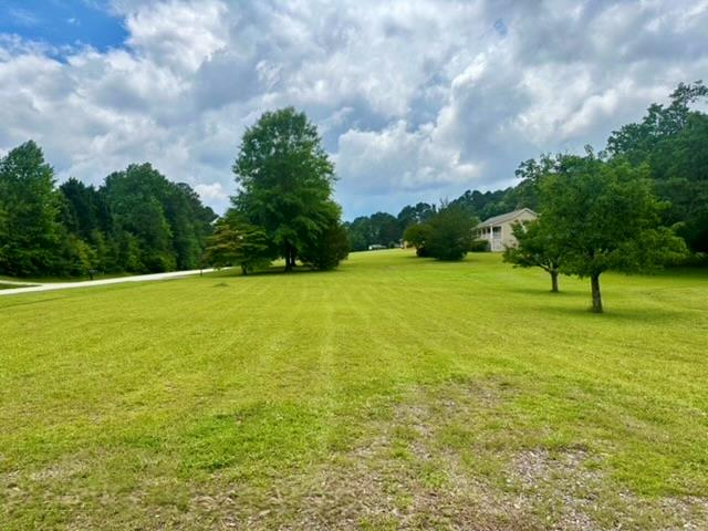 3943 Tommy Lee Cook Road Newnan, GA 30263 - Photo 29 of 35 Gallery Image 29