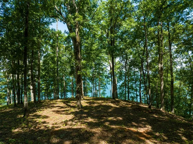 $4,200,682 | 233 Sandy Hollow, Six Mile, SC 29682