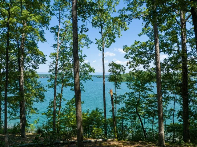 $4,200,682 | 233 Sandy Hollow, Six Mile, SC 29682