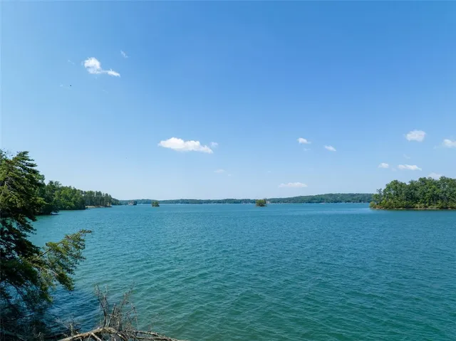 $4,200,682 | 233 Sandy Hollow, Six Mile, SC 29682