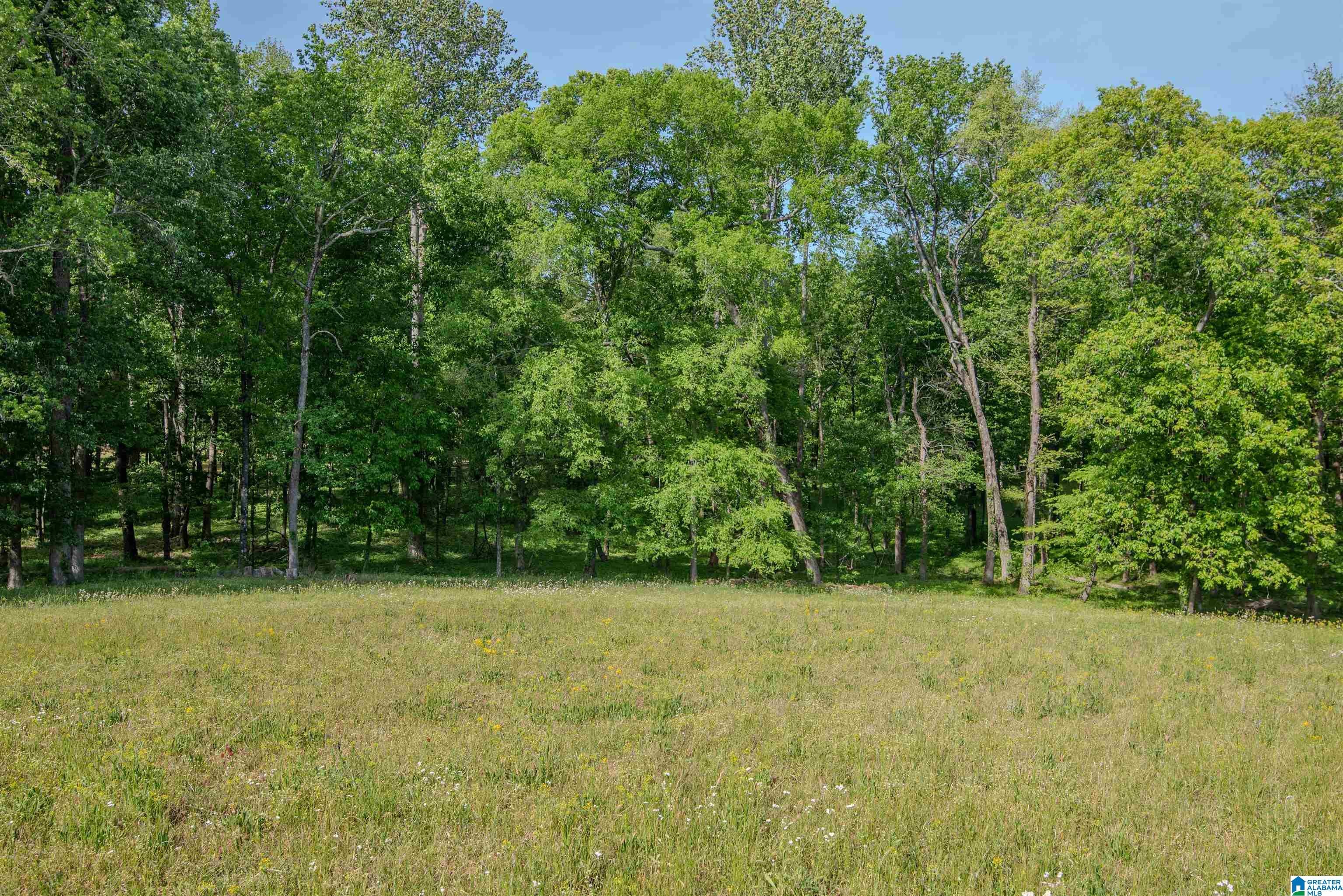 Apple Grove Road, Unit 4 Somerville, AL 35670 - Photo 16 of 19 Gallery Image 16