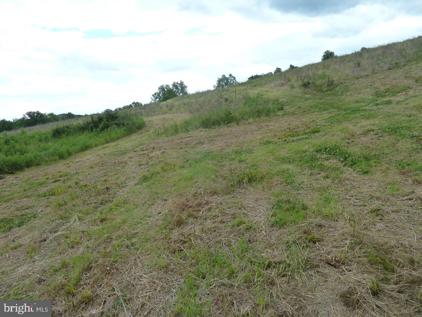 0 Park Mills Road Adamstown, MD 21710 - Photo 22 of 24 Lush hillside under a cloudy sky.