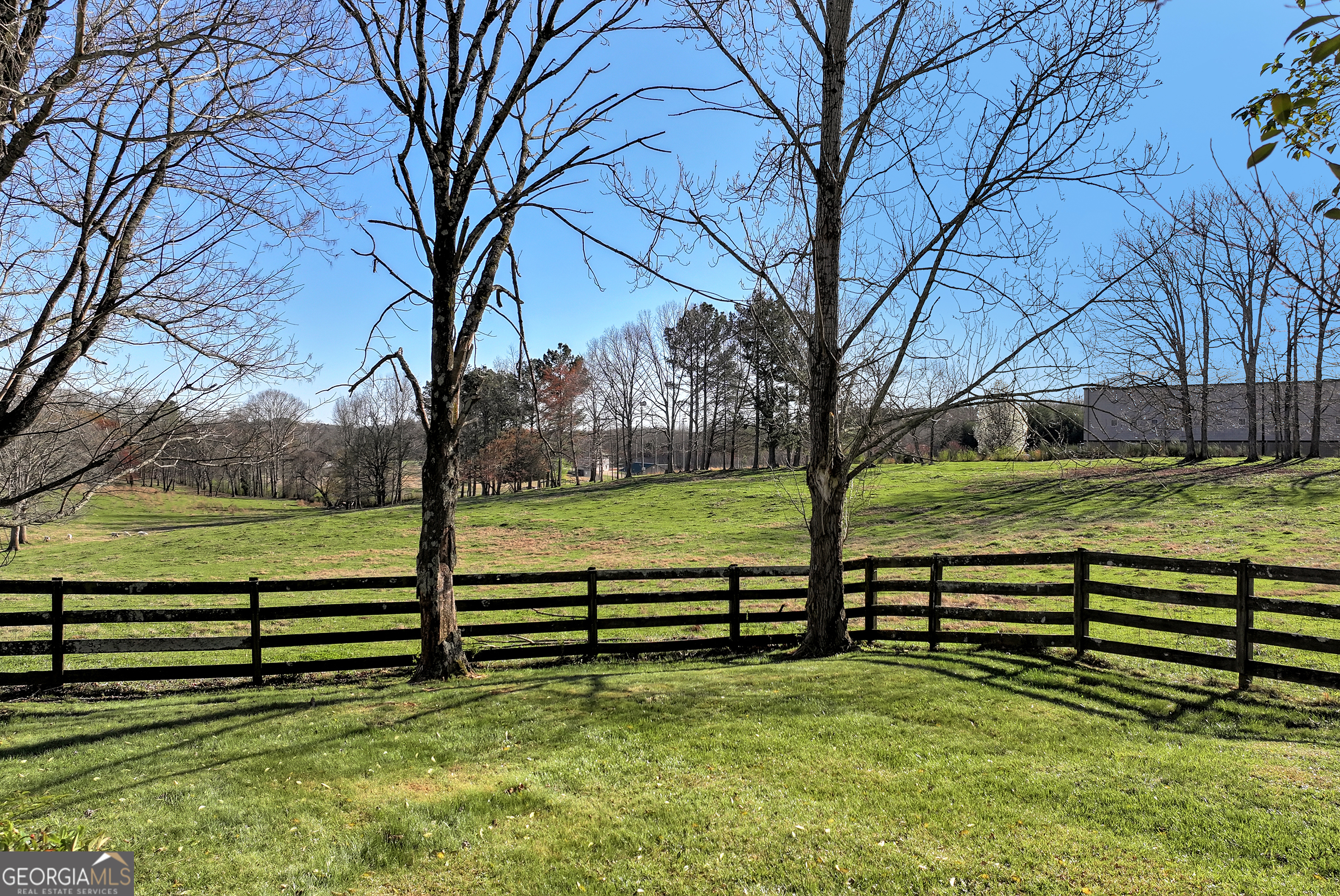 170 Paul Franklin Road Clarkesville, GA 30523 - Photo 3 of 47