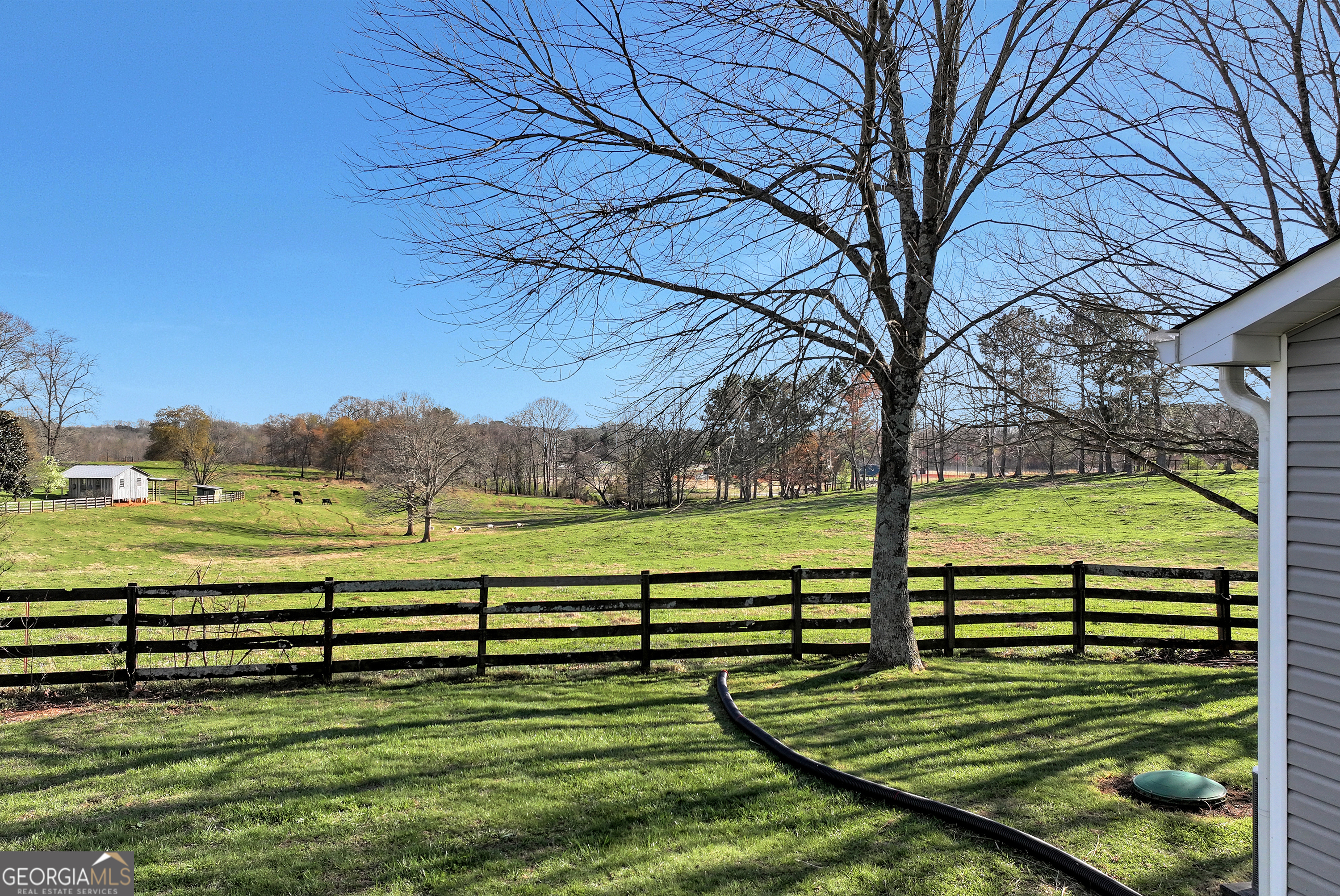 170 Paul Franklin Road Clarkesville, GA 30523 - Photo 6 of 47