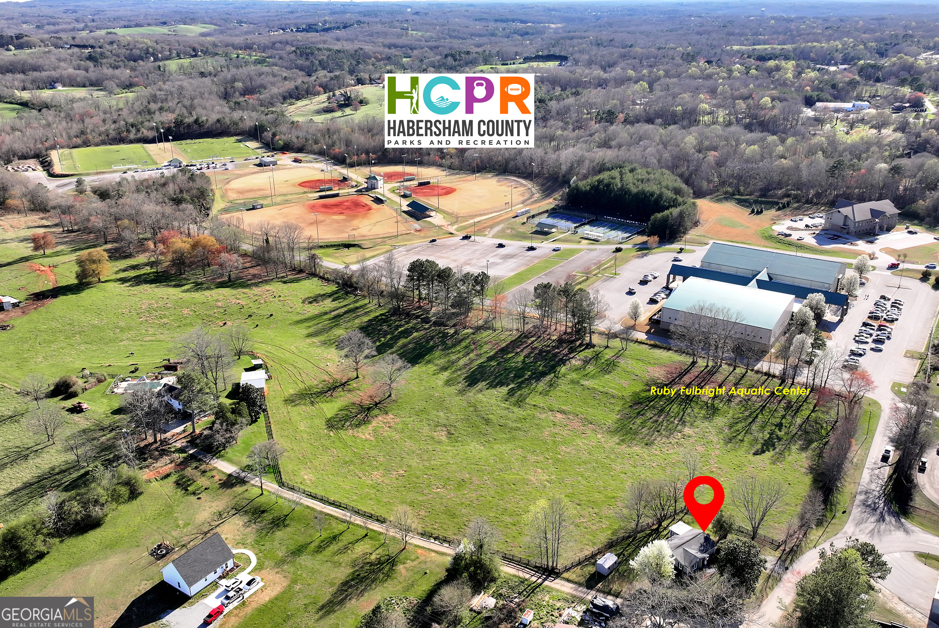 170 Paul Franklin Road Clarkesville, GA 30523 - Photo 9 of 47