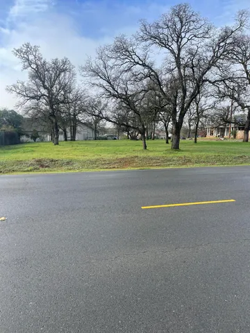 a view of a playground with a large tree