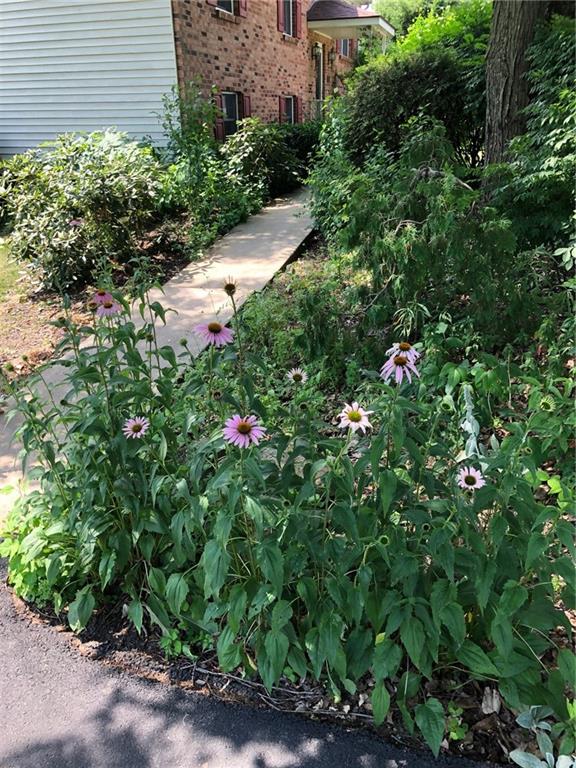 234 Butler Road Saxonburg, PA 16056 - Photo 21 of 21 Gallery Image 21