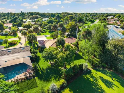 a view of a bunch of flowers in it