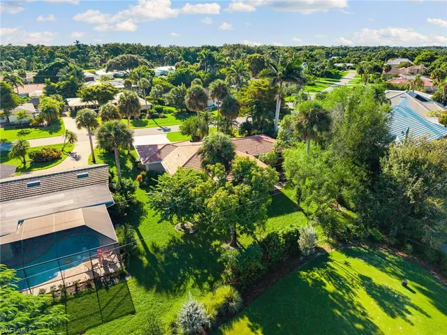 a view of a bunch of flowers in it