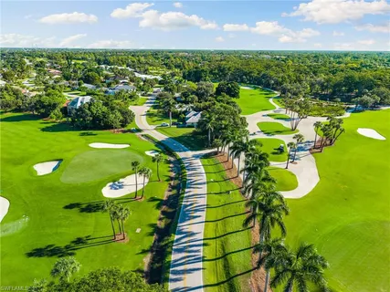 a view of a park with a tree