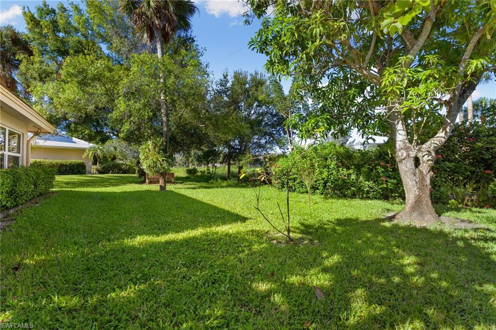 77 Cypress Point Drive Naples, FL 34105 - Photo 20 of 23 a view of a park with a tree