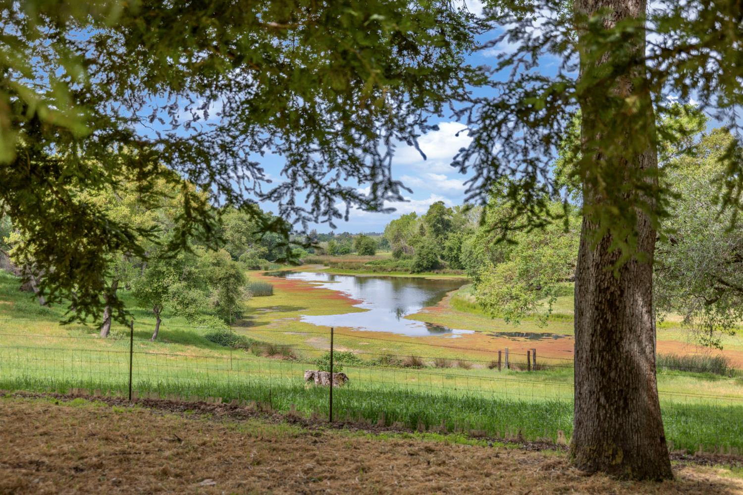 24521 North Mcintire Road Clements, CA 95227 - Photo 26 of 63