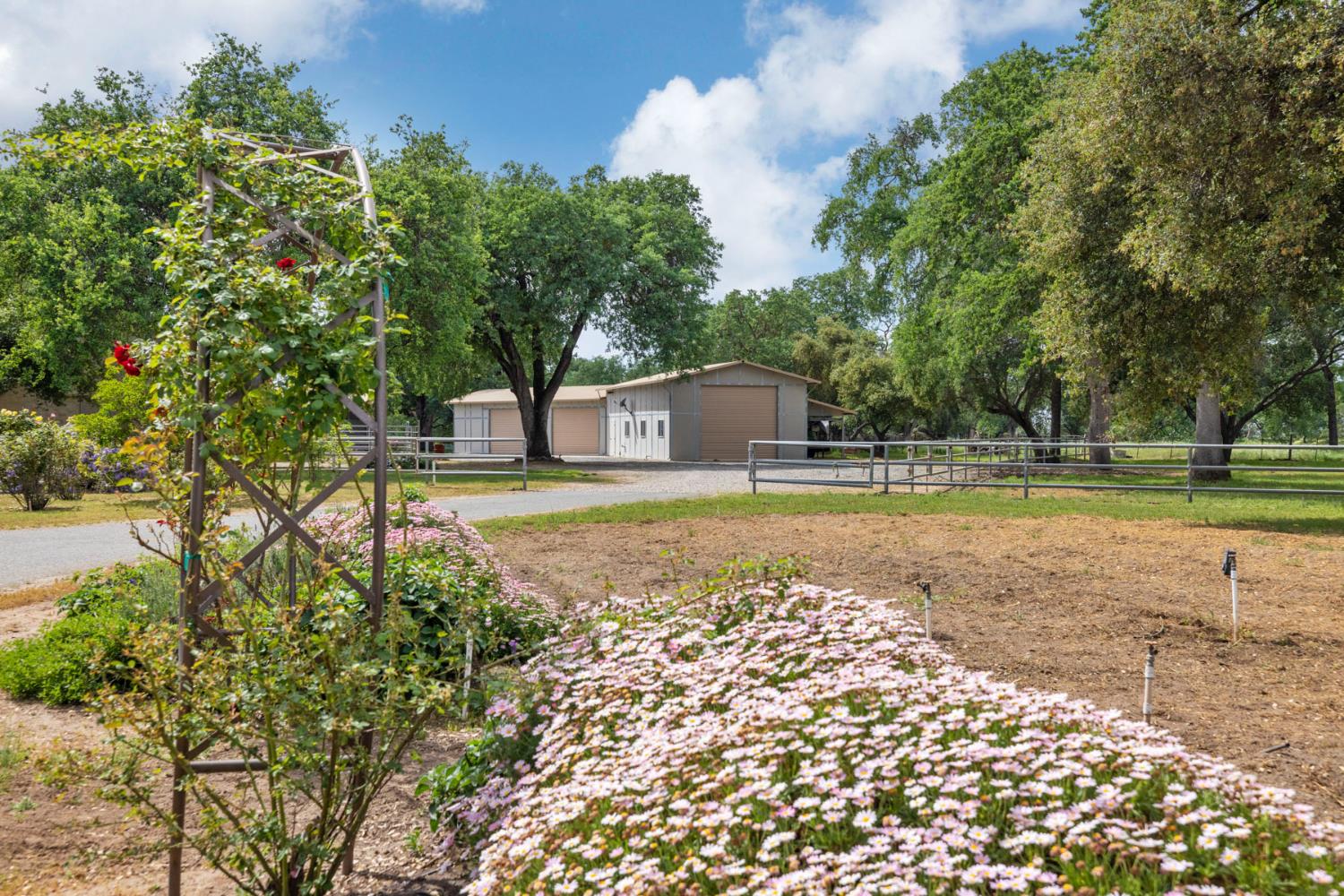 24521 North Mcintire Road Clements, CA 95227 - Photo 28 of 63