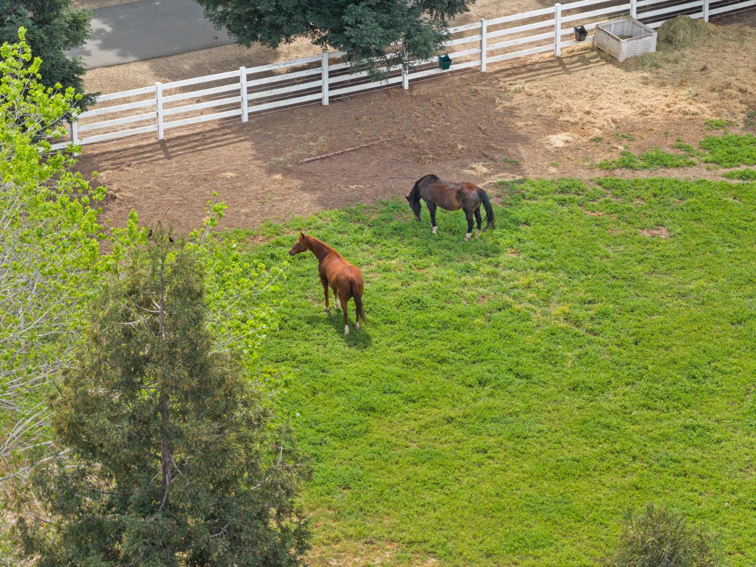 24521 North Mcintire Road Clements, CA 95227 - Photo 3 of 63