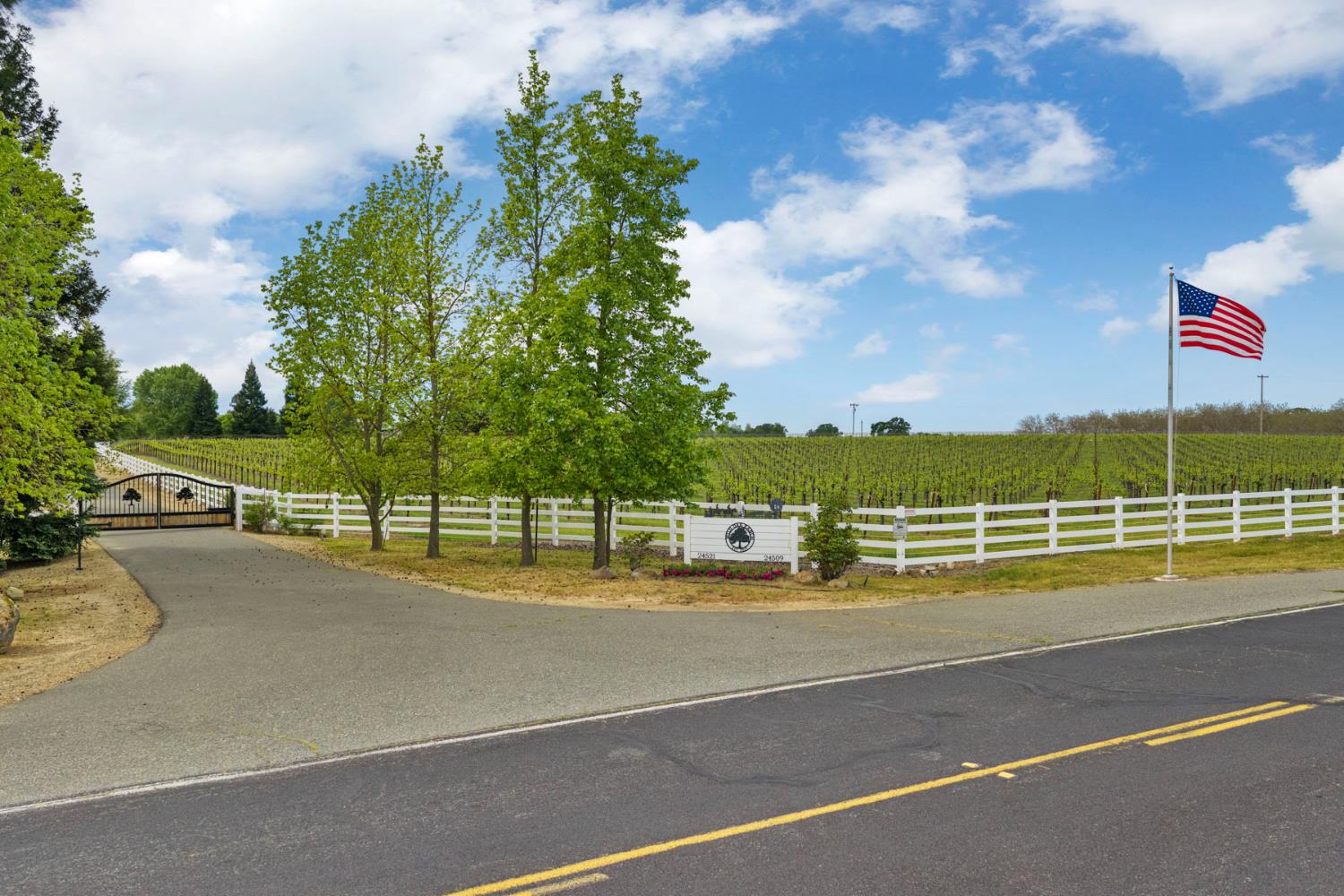 24521 North Mcintire Road Clements, CA 95227 - Photo 4 of 63