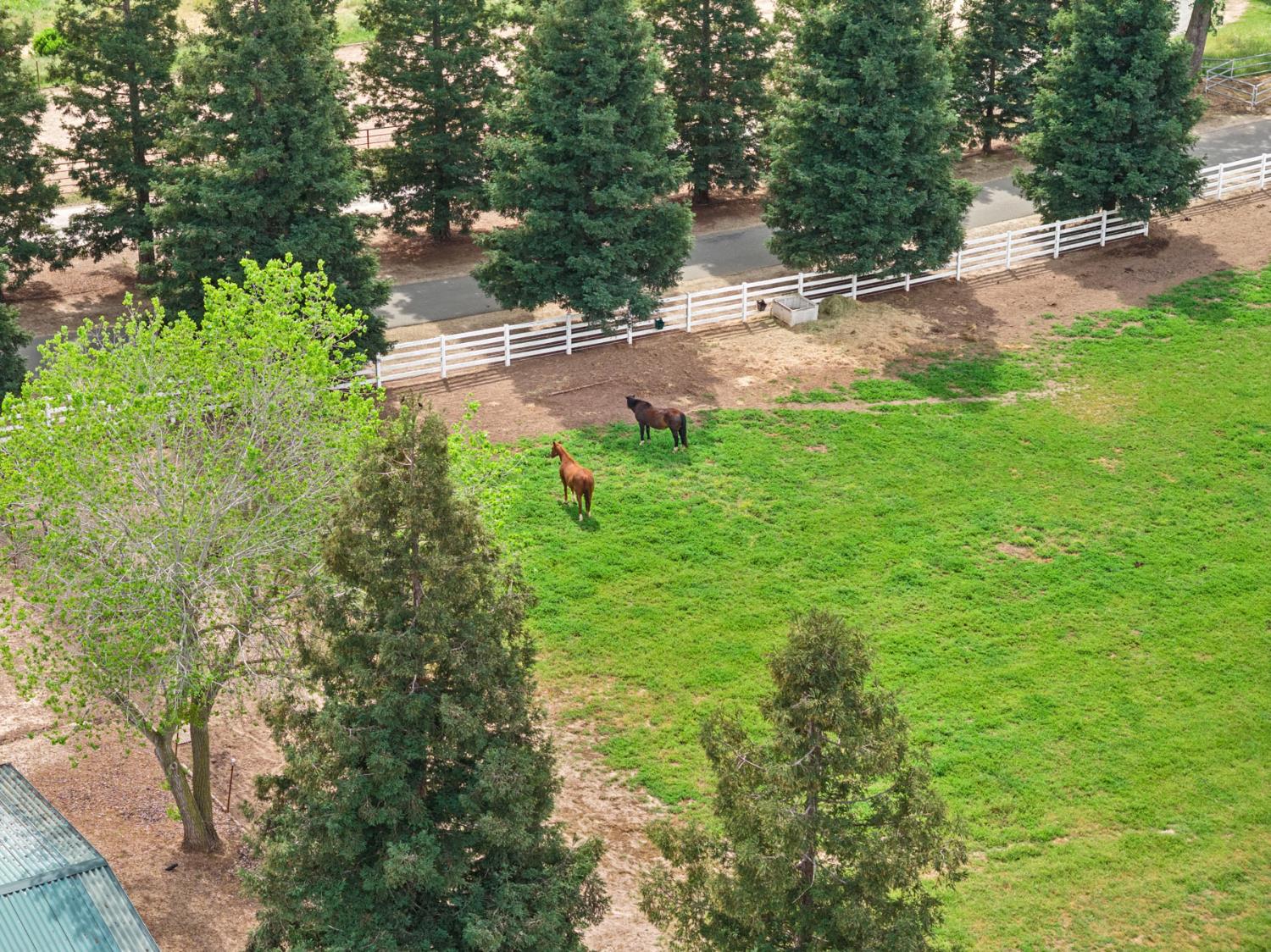 24521 North Mcintire Road Clements, CA 95227 - Photo 47 of 63