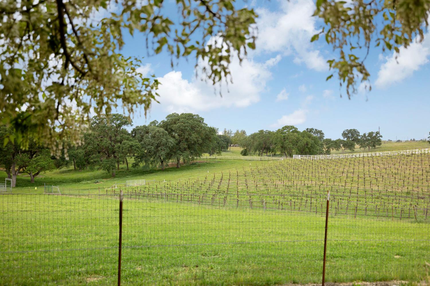 24521 North Mcintire Road Clements, CA 95227 - Photo 51 of 63