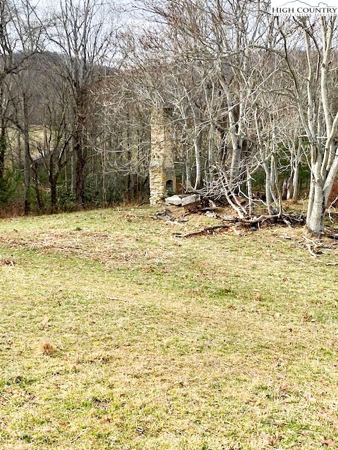 7874 Flat Ridge Road Troutdale, VA 24378 - Photo 28 of 37 a view of a yard with an trees