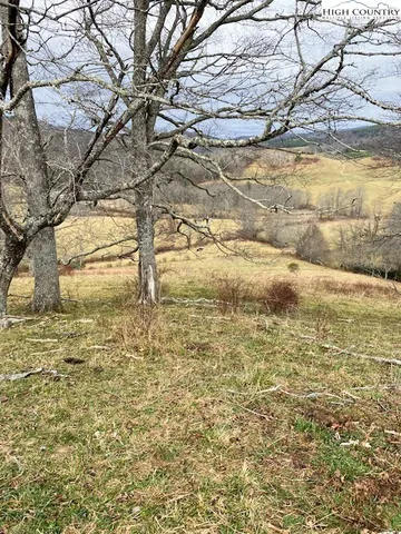 a view of beach with large trees