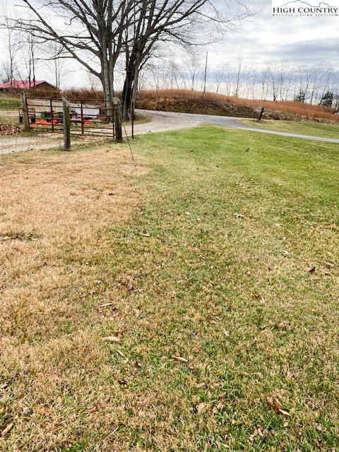 7874 Flat Ridge Road Troutdale, VA 24378 - Photo 36 of 37 a view of yard with tree
