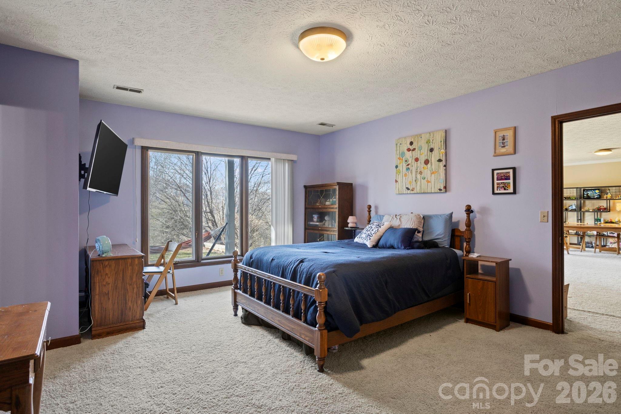 404 Browning Road Hendersonville, NC 28791 - Photo 25 of 46 a bed room with a bed and a tv