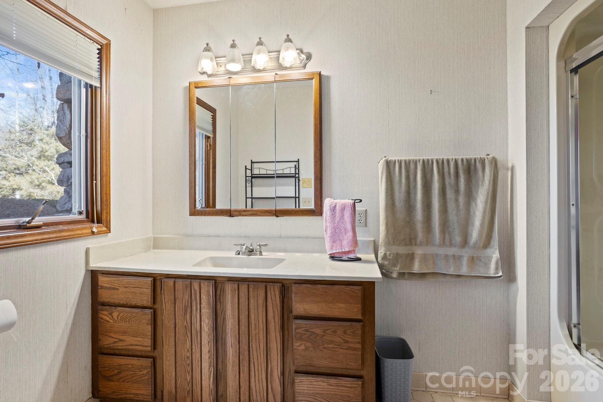 404 Browning Road Hendersonville, NC 28791 - Photo 29 of 46 a bathroom with a sink vanity and a mirror