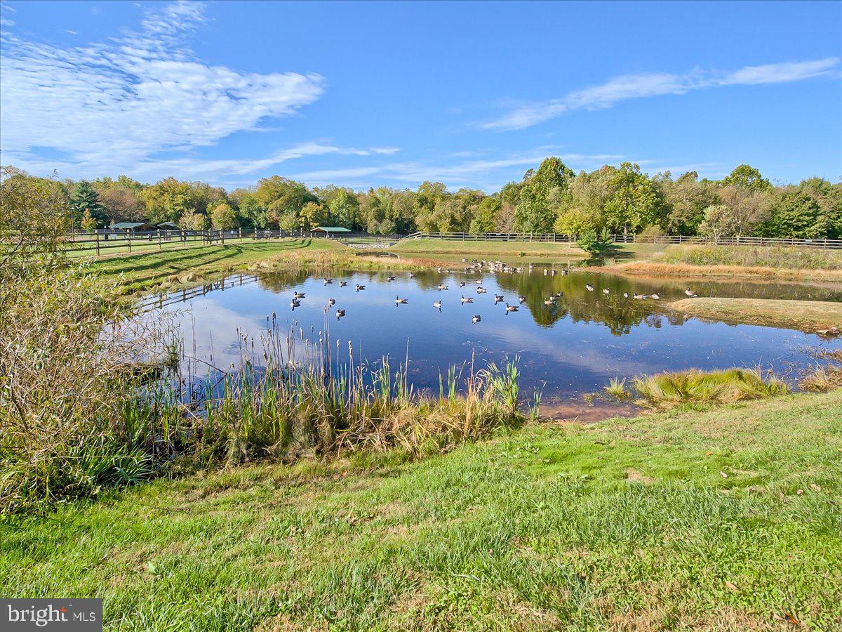 4654 Cambria Road Frederick, MD 21703 - Photo 46 of 55 a view of a lake with houses in the back