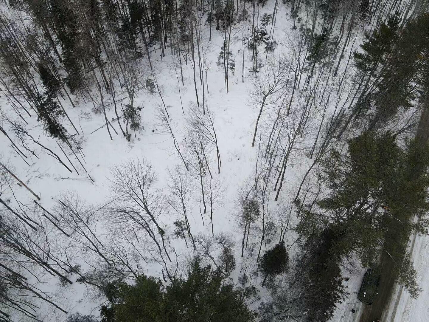 Lot 10 North Road Medford, ME 04463 - Photo 5 of 9 tempImagejco6sC