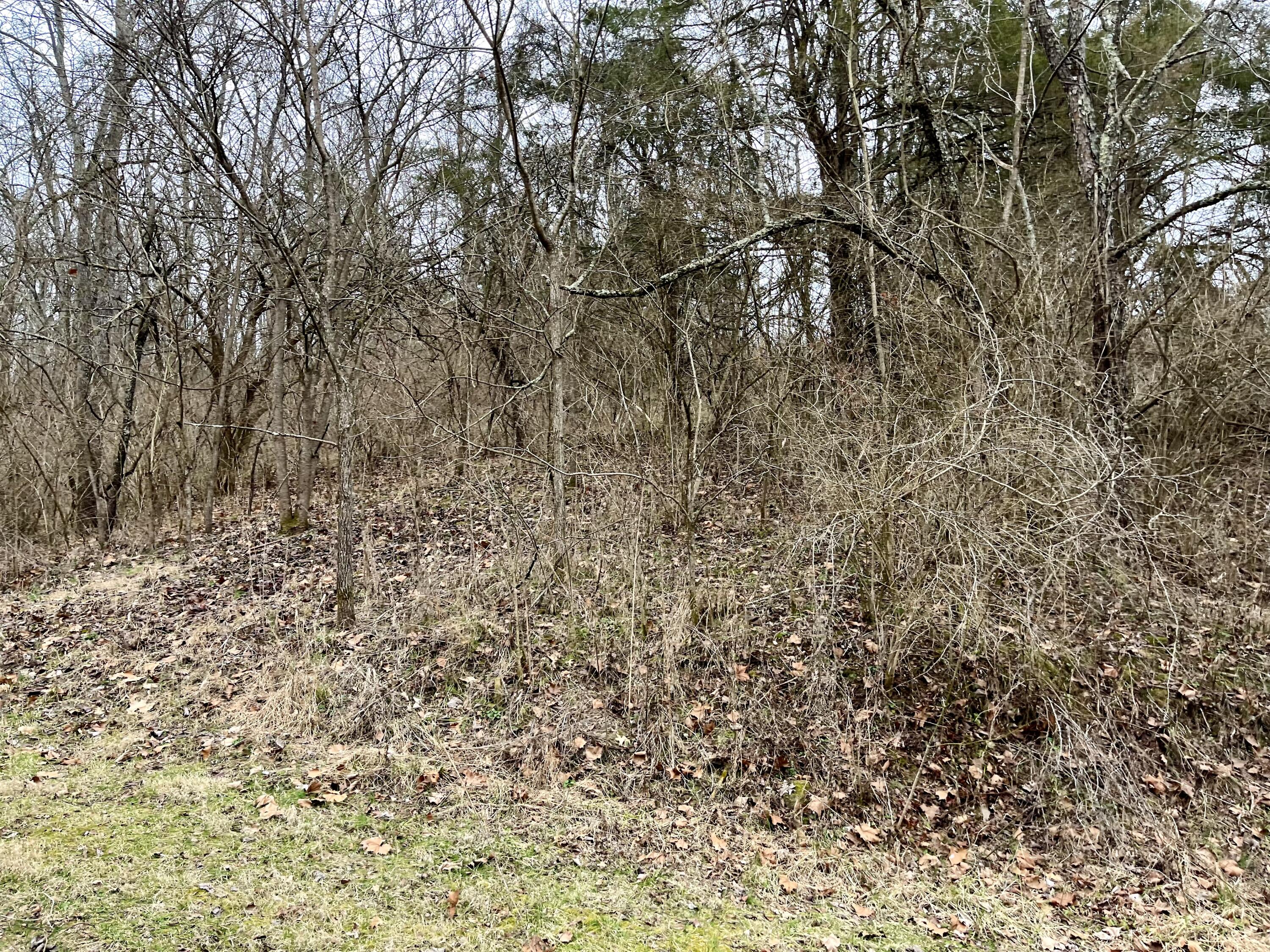 330 Epperson Road Winchester, KY 40391 - Photo 8 of 24 IMG_5449