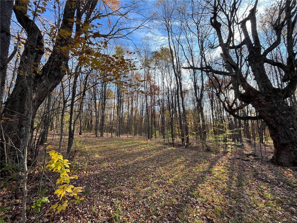 98 Nys Route Franklinville, NY 14737 - Photo 2 of 49 Gallery Image 2