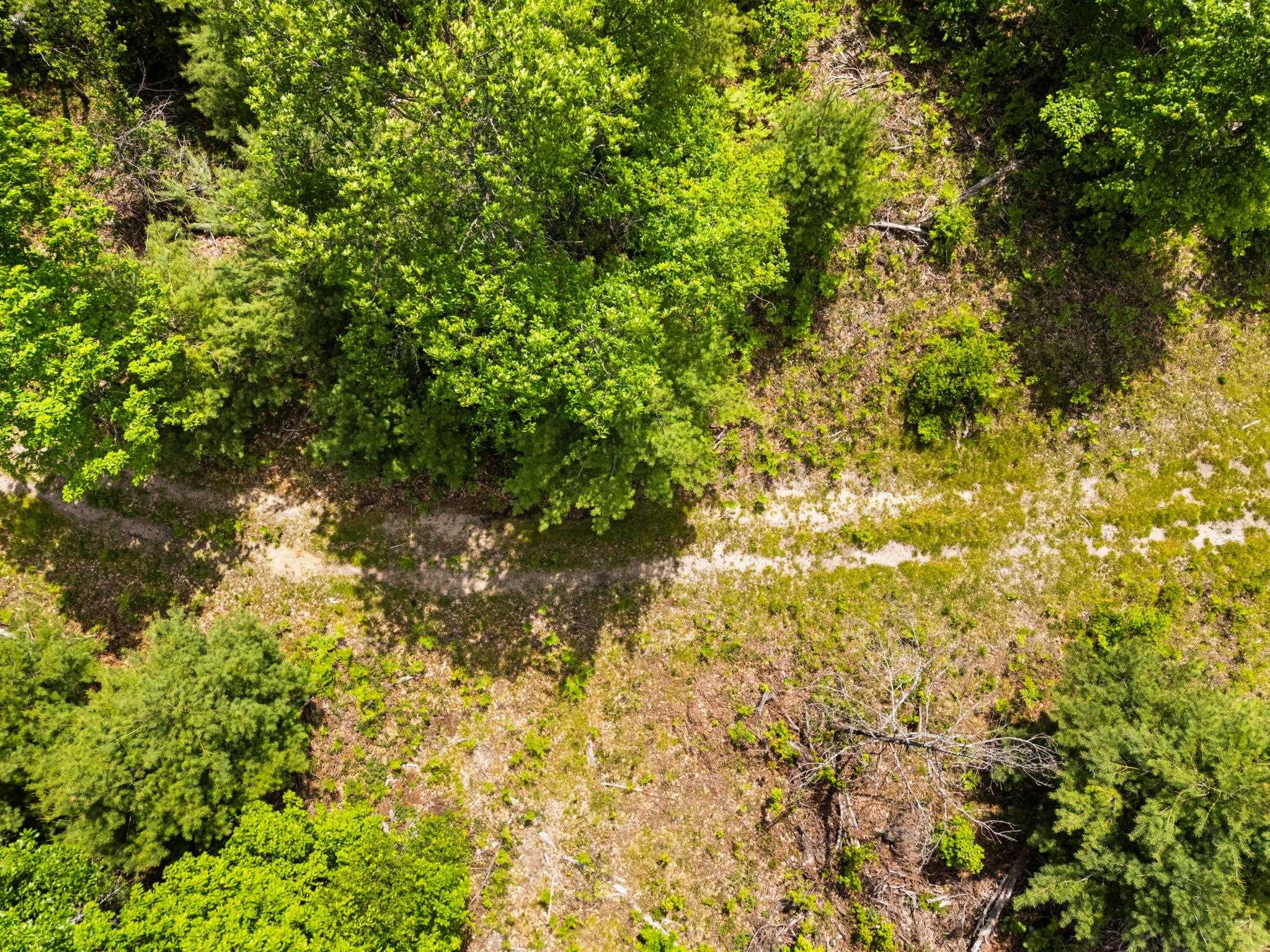 4011 West Forest Road Lake City, MI 49651 - Photo 11 of 36