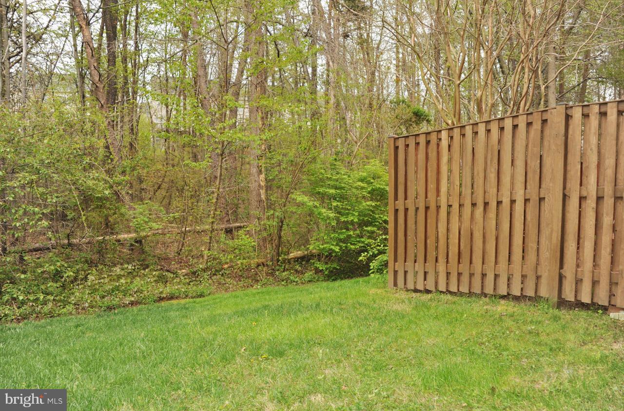 6339 Simmer Circle Springfield, VA 22150 - Photo 28 of 30 Backyard